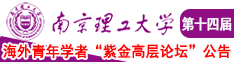 抽插操免费南京理工大学第十四届海外青年学者紫金论坛诚邀海内外英才！